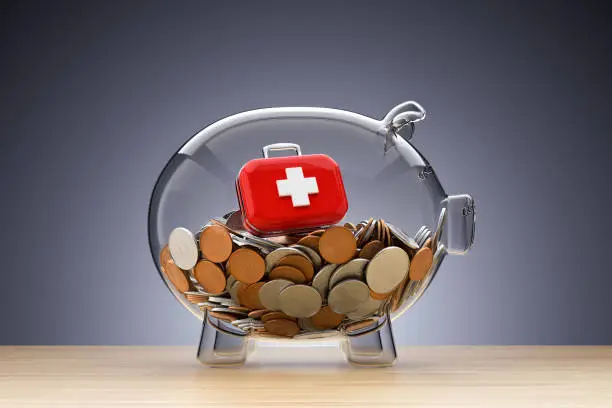 Emergency Fund Collective Piggy Bank
